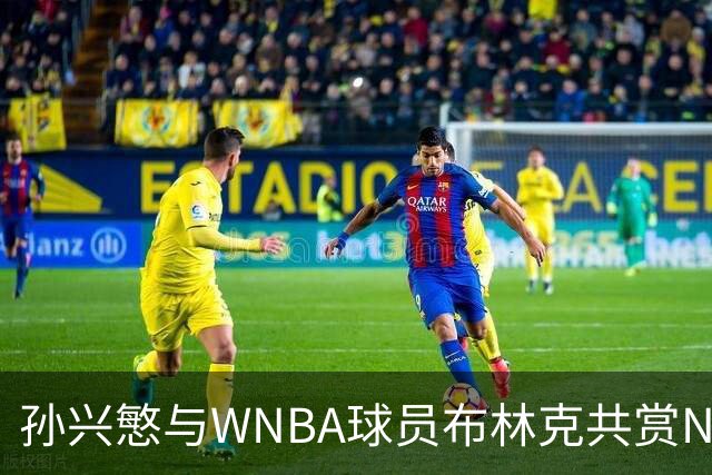 孙兴慜与WNBA球员布林克共赏NFL盛宴 网络热度大比拼
